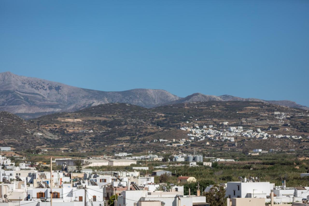Naxian Icon Luxury Residence Naxos City Bagian luar foto